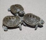 Concentric Diamondback Terrapin For Sale